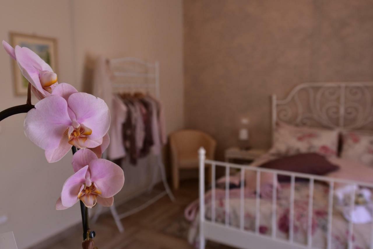 トイラーノ Casa Nina Bed & Breakfast エクステリア 写真